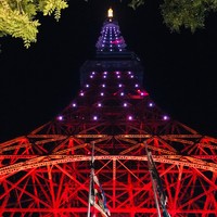 Terrace Dining TANGO - お店の入り口のところから見える東京タワー！