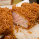 Tonkatsu Aoki No Kareya Ippe Koppe - 