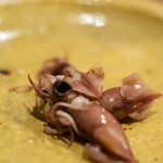 うを徳 - 越中滑川（ゑつちゆうなめりかは）の螢烏賊（ほたるいか）