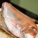 うを徳 - 播州明石（はりまあかし）の眞鯛（まだひ）、一貫目弱（≒3.7kg）
