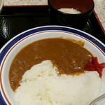 名代 富士そば - ミニカレーと温玉