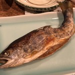 柳家 - 長良川の天然アマゴ