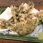 柳家 - タラの芽、こごみ、やまうど、コシアブラ、行者ニンニク、蕗の葉の天ぷら