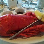 Star of Honolulu - 巨大ロブスター