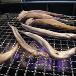 炉ばた雷橋 - 焼くのは全て店員さんにお任せ