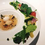 コシモ・プリュス - 