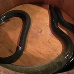 にょろ助 瓢六亭 - 天草・吉野川・浜名湖の天然鰻