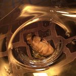 長谷川 稔 - 厚岸の牡蠣