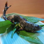 喜幸 - 鮎の塩焼きＵＰ２