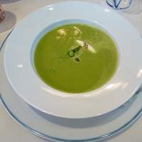 Benoit Alain Ducasse - 