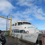 Dolphin Star - ドルフィンスター号(2018年4月)