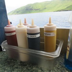 Dolphin Star - 調味料(2018年4月)