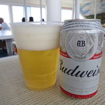 Dolphin Star - ビールはバドワイザー＄8、私は泡にこだわる人ｗ(2018年4月)