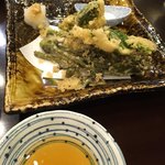 松本 - コシアブラとコゴミの天ぷら