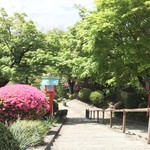 蕎遊庵 - 昇って来た階段