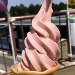 Tsutsujigaoka Resutohausu - 茨城いちごソフトクリーム