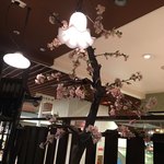 Cafe 婆沙羅 - 