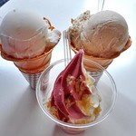 Minna Kamon - クラゲソフトクリーム（ミックス）＆ クラゲアイス類