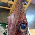 深海魚料理 魚重食堂 - げほうの尾頭付きです・・・汗