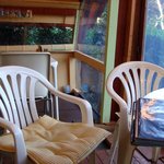 峠の茶屋 アザセボラ - 店内です