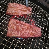 焼肉チャンピオン ペントハウス - 