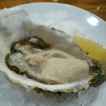 ビストロ ティアボ - 