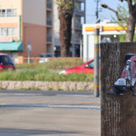 スターバックスコーヒー - スタバは、犬まで、ご来店（笑）　ドライブスルーは、大渋滞。　