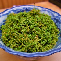 緒方 - 
