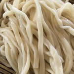 うどん山長 - うどんのアップ