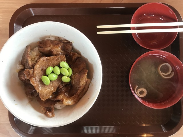 ばんえい牧場十勝 - 帯広市その他（その他）の写真