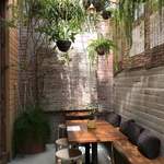 キミドリ - サンテラス