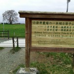 K.Cダイニング - レストランは小岩井農場から一本桜の先にあります。