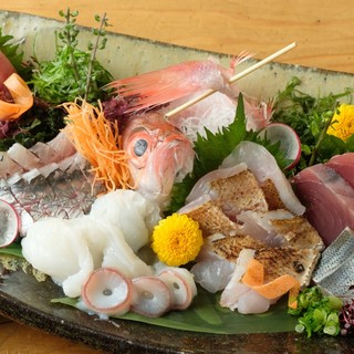 A luxurious time to enjoy freshly caught fish directly from the market [Five types of sashimi]