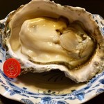 よい処うさぎ - 