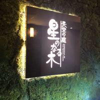 天空の庭　星のなる木 - 