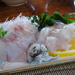 魚山人 - ◆刺身（ヒラマサ、クエ、クエの皮、サクラマスの卵） 量もタップリですし、どれも新鮮で美味しいこと。