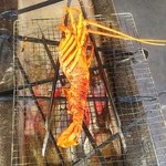 ひもの万宝商店 - 