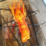 ひもの万宝商店 - 