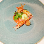 ジョンティ アッシュ - 