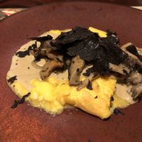 コントワール ミサゴ - 