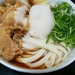 讃岐うどん 白庵 - うどんの盛り付けも丁寧に・・・