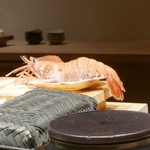 不動前 すし 岩澤 - 【ぼたん海老】◎2018/4