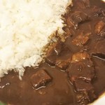 セイロンパラダイス スリランカカレー本店 - お肉タップリ