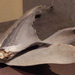 GINZA JOTAKI - ふかひれ