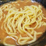 武道家 賢斗 - 酒井の麺は少し短めの中太麺。