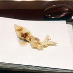 旬彩天 つちや - 