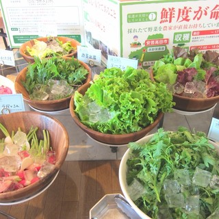 広島で人気のバイキング ランキングtop 食べログ 広島で人気のバイキング ランキングtop 食べログ
