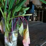 ファームスタンド - 