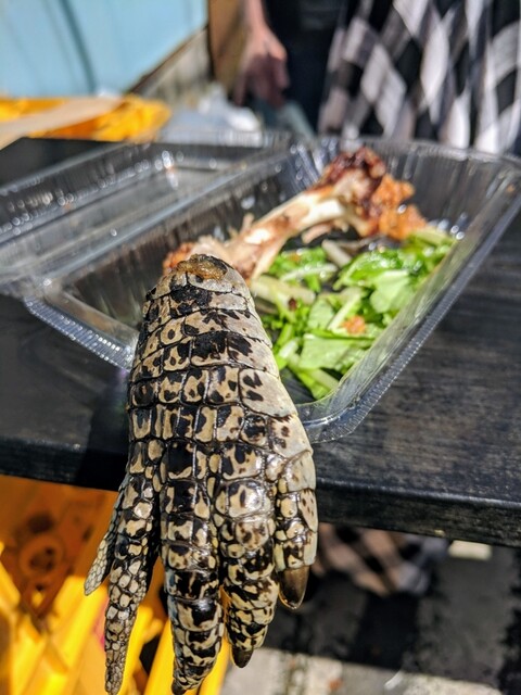 ワニの手やウーパールーパー グソクムシなどが食べれるお店 By コビン ケスナー 珍獣屋 桜木町 居酒屋 食べログ ワニの手やウーパールーパー グソクムシなどが食べれるお店 By コビン ケスナー 珍獣屋 桜木町 居酒屋 食べログ