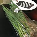 ピッザピッザピッザ - 